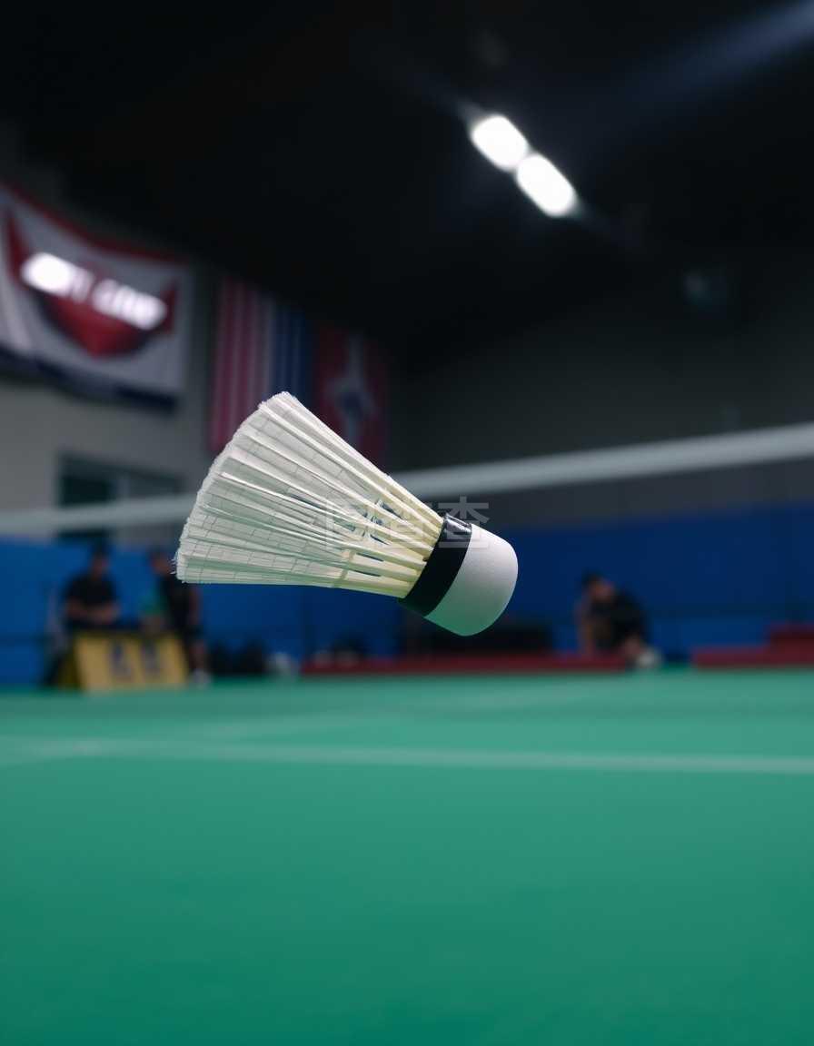 内容打包提 内容打包提